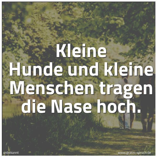 Quadratisches Spruchbild: Kleine Hunde und kleine Menschen tragen die Nase hoch.