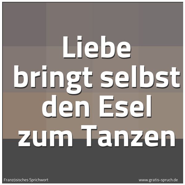 Quadratisches Spruchbild: Liebe bringt selbst den Esel zum Tanzen