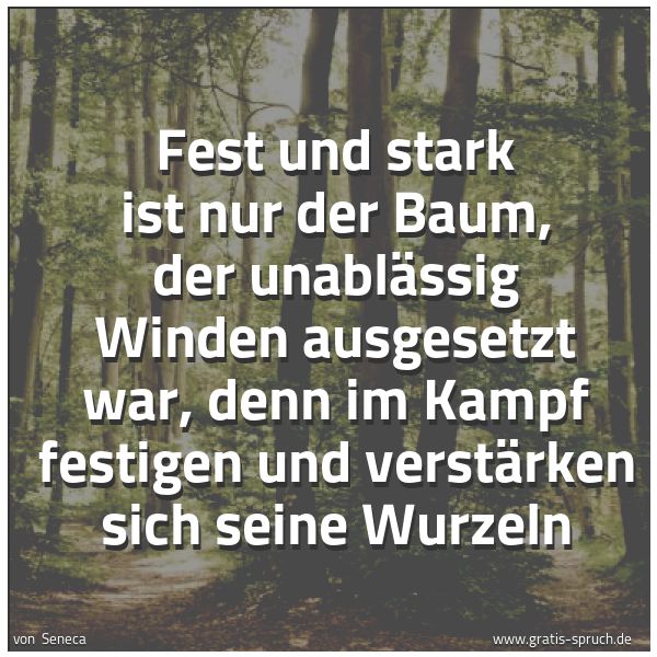 Quadratisches Spruchbild: Fest und stark ist nur der Baum, der unablässig Winden ausgesetzt war, denn im Kampf festi …