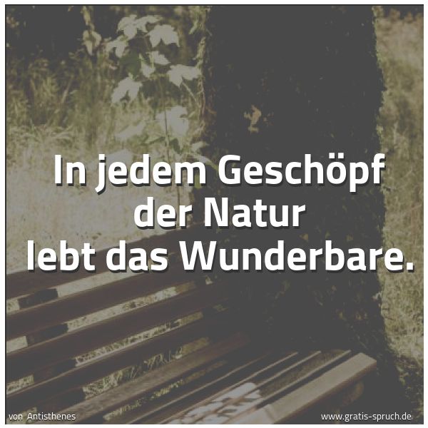 Quadratisches Spruchbild: In jedem Geschöpf der Natur lebt das Wunderbare.