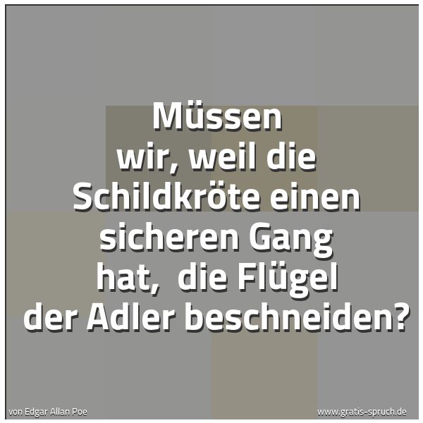 Quadratisches Spruchbild: Müssen wir, weil die Schildkröte einen sicheren Gang hat,  die Flügel der Adler beschneide …