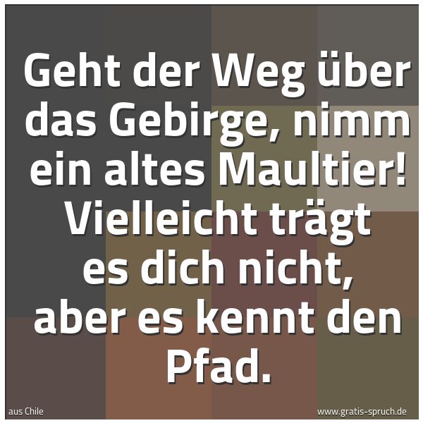 Quadratisches Spruchbild: Geht der Weg über das Gebirge, nimm ein altes Maultier! Vielleicht trägt es dich nicht, ab …