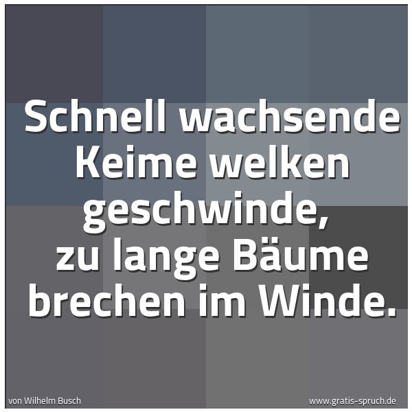 Quadratisches Spruchbild: Schnell wachsende Keime welken geschwinde,  zu lange Bäume brechen im Winde.