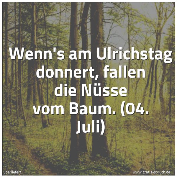 Quadratisches Spruchbild: Wenn's am Ulrichstag donnert, fallen die Nüsse vom Baum. (04. Juli)