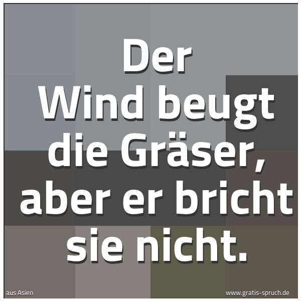 Quadratisches Spruchbild: Der Wind beugt die Gräser, aber er bricht sie nicht.
