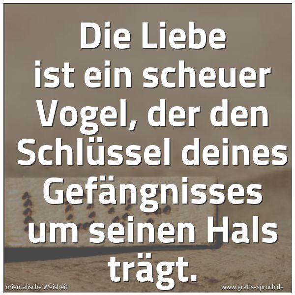 Quadratisches Spruchbild: Die Liebe ist ein scheuer Vogel, der den Schlüssel deines Gefängnisses um seinen Hals träg …