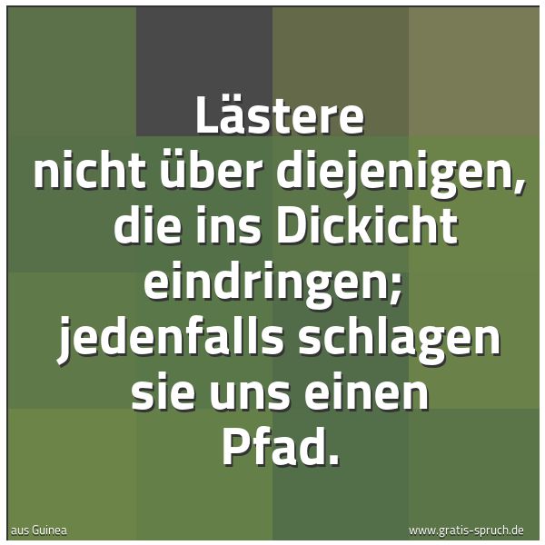 Quadratisches Spruchbild: Lästere nicht über diejenigen,  die ins Dickicht eindringen;  jedenfalls schlagen sie uns  …