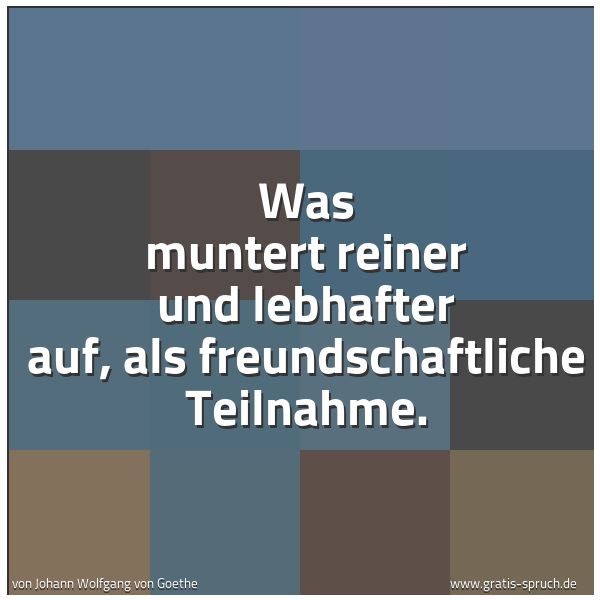 Quadratisches Spruchbild: Was muntert reiner und lebhafter auf, als freundschaftliche Teilnahme.