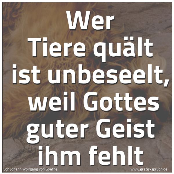 Quadratisches Spruchbild: Wer Tiere quält ist unbeseelt,  weil Gottes guter Geist ihm fehlt
