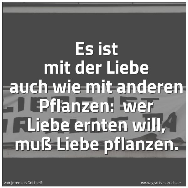 Quadratisches Spruchbild: Es ist mit der Liebe auch wie mit anderen Pflanzen:  wer Liebe ernten will, muß Liebe pfla …