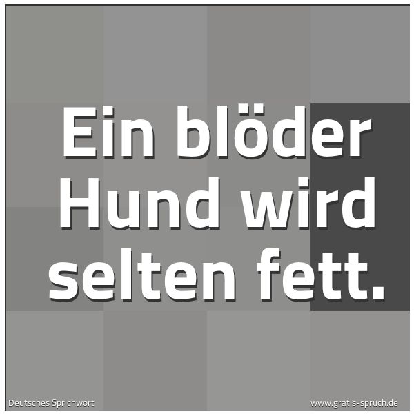Quadratisches Spruchbild: Ein blöder Hund wird selten fett.