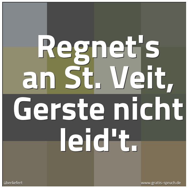 Quadratisches Spruchbild: Regnet's an St. Veit, Gerste nicht leid't.