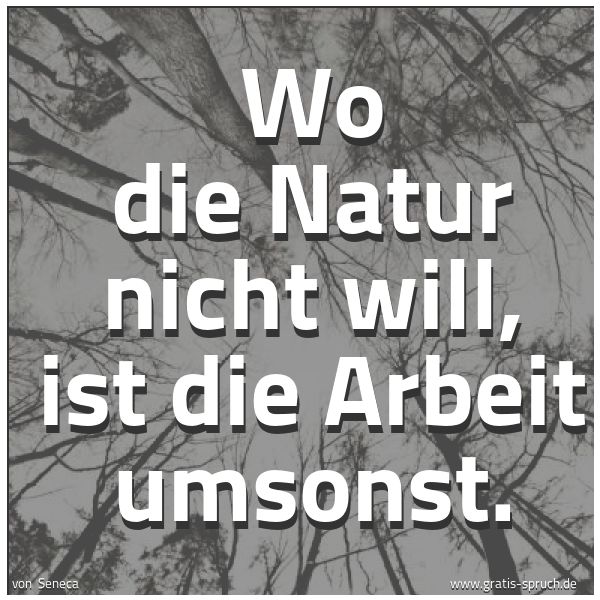 Quadratisches Spruchbild: Wo die Natur nicht will, ist die Arbeit umsonst.