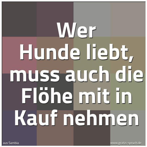 Quadratisches Spruchbild: Wer Hunde liebt, muss auch die Flöhe mit in Kauf nehmen