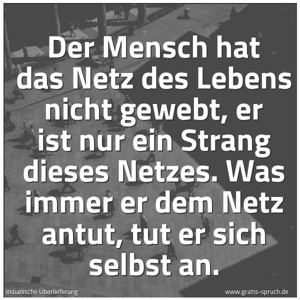 Quadratisches Spruchbild: Der Mensch hat das Netz des Lebens nicht gewebt, er ist nur ein Strang dieses Netzes. Was  …
