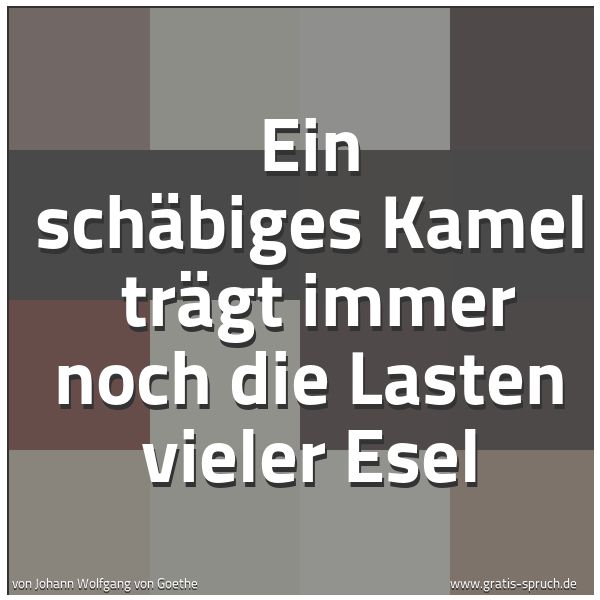 Quadratisches Spruchbild: Ein schäbiges Kamel  trägt immer noch die Lasten vieler Esel