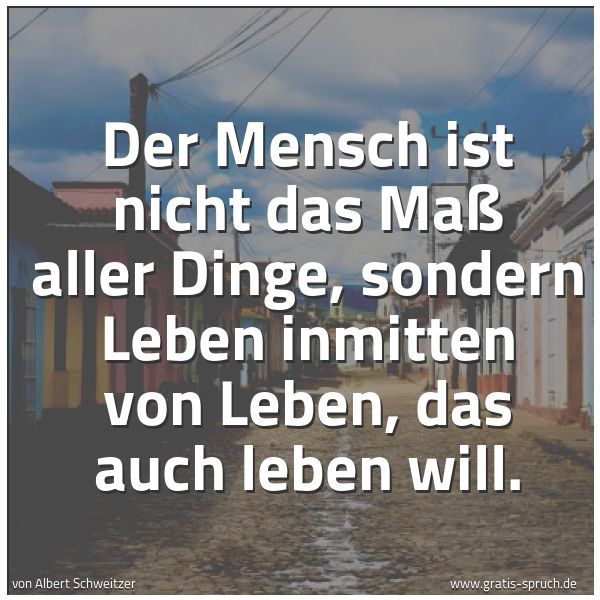 Quadratisches Spruchbild: Der Mensch ist nicht das Maß aller Dinge, sondern Leben inmitten von Leben, das auch leben …