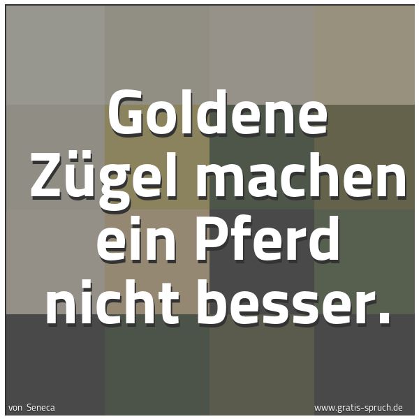 Quadratisches Spruchbild: Goldene Zügel machen ein Pferd nicht besser.