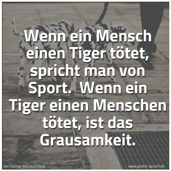 Quadratisches Spruchbild: Wenn ein Mensch einen Tiger tötet, spricht man von Sport.  Wenn ein Tiger einen Menschen t …