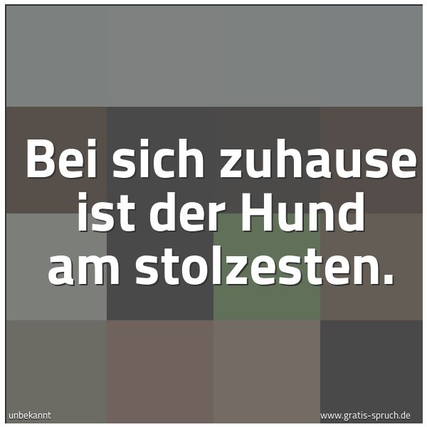Quadratisches Spruchbild: Bei sich zuhause ist der Hund am stolzesten.