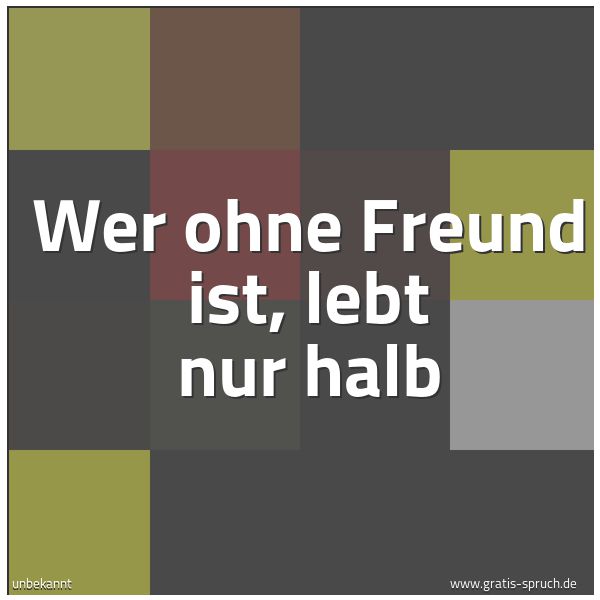 Quadratisches Spruchbild: Wer ohne Freund ist, lebt nur halb