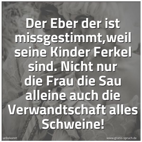 Quadratisches Spruchbild: Der Eber der ist missgestimmt,weil seine Kinder Ferkel sind. Nicht nur die Frau die Sau al …