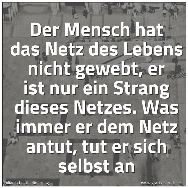 Quadratisches Spruchbild: Der Mensch hat das Netz des Lebens nicht gewebt, er ist nur ein Strang dieses Netzes. Was  …