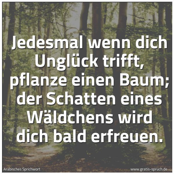 Quadratisches Spruchbild: Jedesmal wenn dich Unglück trifft, pflanze einen Baum; der Schatten eines Wäldchens wird d …