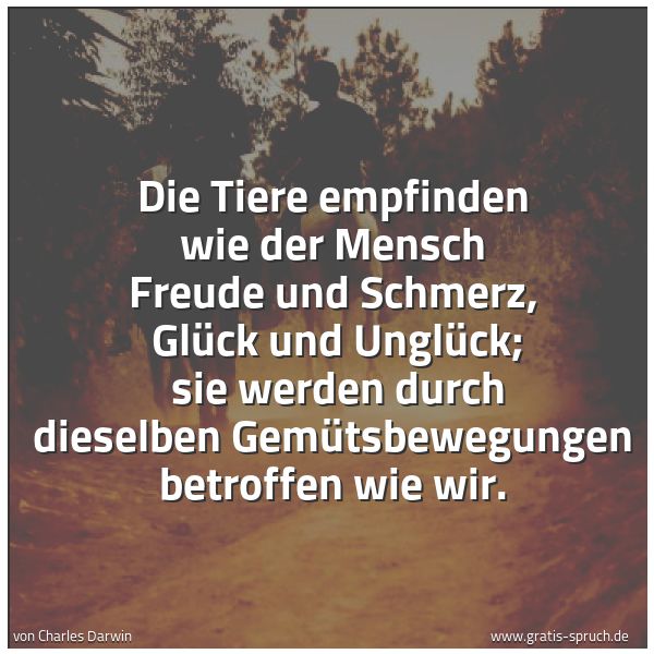 Quadratisches Spruchbild: Die Tiere empfinden wie der Mensch Freude und Schmerz,  Glück und Unglück;  sie werden dur …