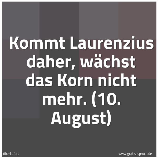Quadratisches Spruchbild: Kommt Laurenzius daher, wächst das Korn nicht mehr. (10. August)