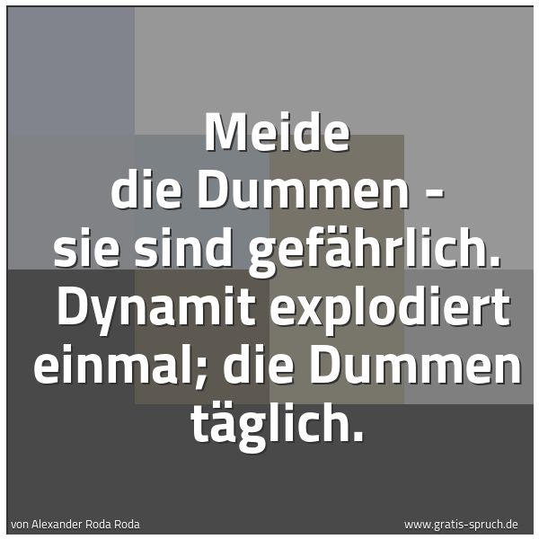 Quadratisches Spruchbild: Meide die Dummen - sie sind gefährlich.  Dynamit explodiert einmal; die Dummen täglich.
