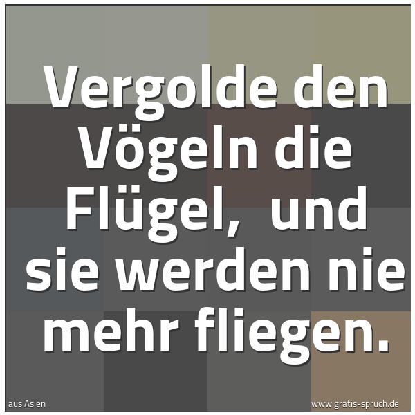 Quadratisches Spruchbild: Vergolde den Vögeln die Flügel,  und sie werden nie mehr fliegen.