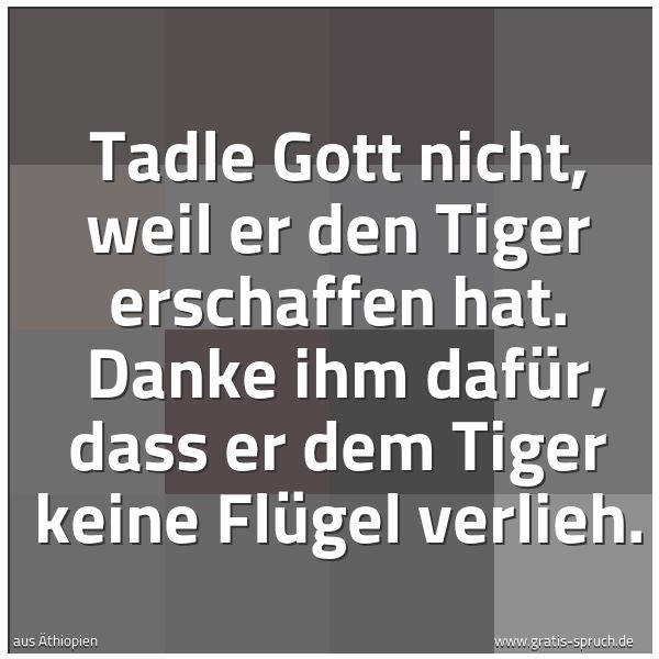 Quadratisches Spruchbild: Tadle Gott nicht, weil er den Tiger erschaffen hat.  Danke ihm dafür, dass er dem Tiger ke …