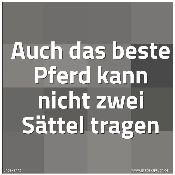Quadratisches Spruchbild: Auch das beste Pferd kann nicht zwei Sättel tragen
