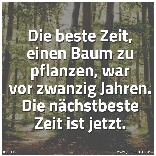 Quadratisches Spruchbild: Die beste Zeit, einen Baum zu pflanzen, war vor zwanzig Jahren. Die nächstbeste Zeit ist j …