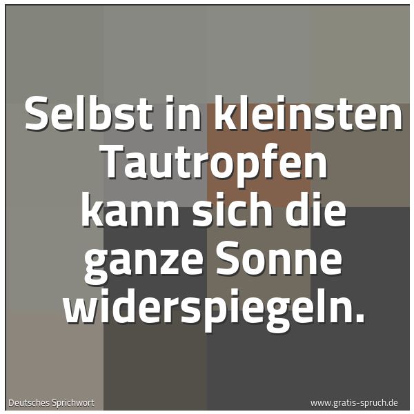 Quadratisches Spruchbild: Selbst in kleinsten Tautropfen kann sich die ganze Sonne widerspiegeln.
