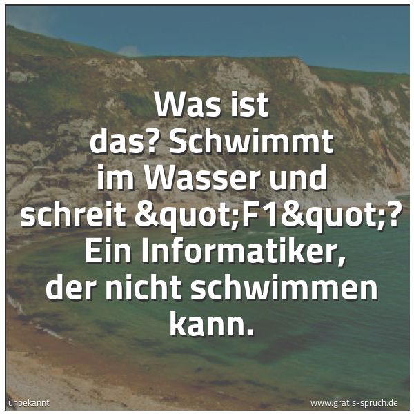 Quadratisches Spruchbild: Was ist das? Schwimmt im Wasser und schreit "F1"?  Ein Informatiker, der nicht schwimmen k …