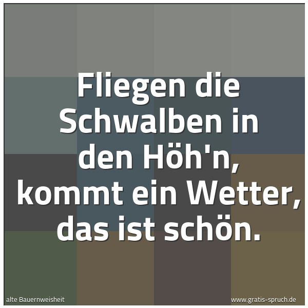 Quadratisches Spruchbild: Fliegen die Schwalben in den Höh'n, kommt ein Wetter, das ist schön.