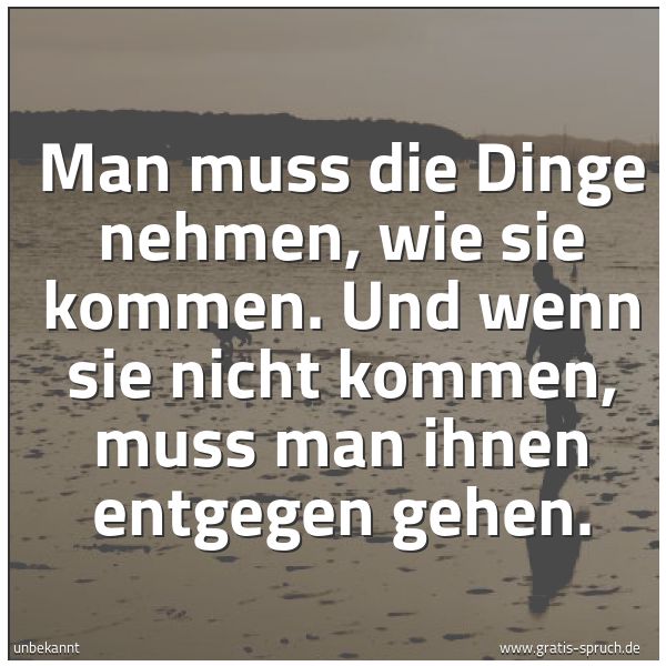 Quadratisches Spruchbild: Man muss die Dinge nehmen, wie sie kommen. Und wenn sie nicht kommen, muss man ihnen entge …