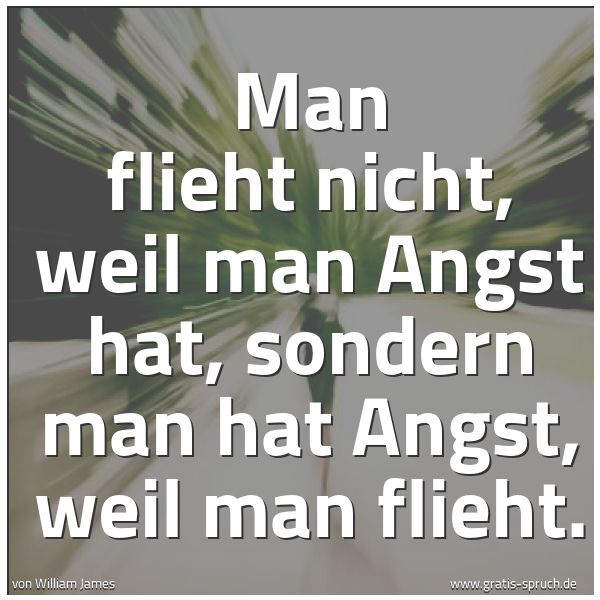 Quadratisches Spruchbild: Man flieht nicht, weil man Angst hat, sondern man hat Angst, weil man flieht.