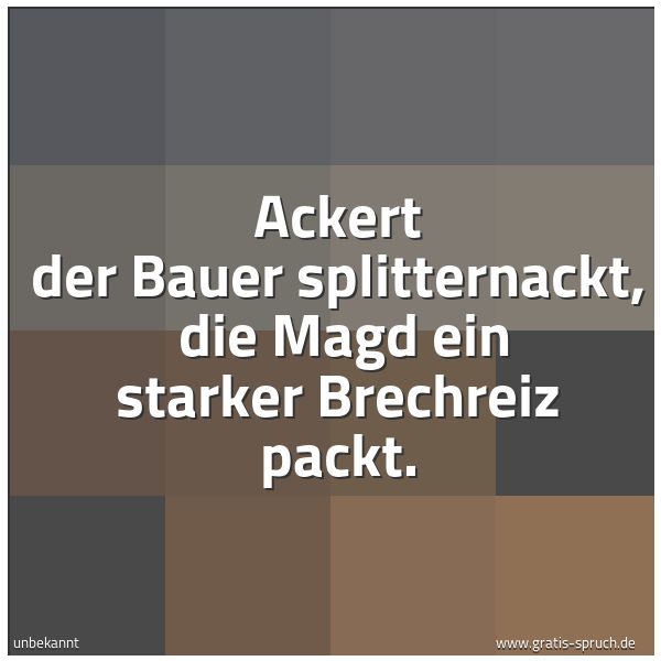 Quadratisches Spruchbild: Ackert der Bauer splitternackt,  die Magd ein starker Brechreiz packt.