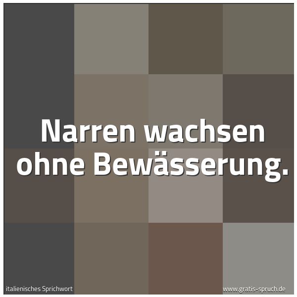 Quadratisches Spruchbild: Narren wachsen ohne Bewässerung.