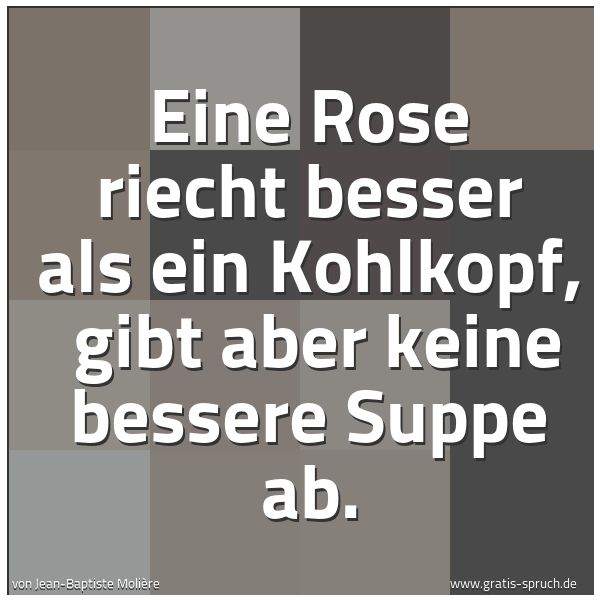Quadratisches Spruchbild: Eine Rose riecht besser als ein Kohlkopf,  gibt aber keine bessere Suppe ab.