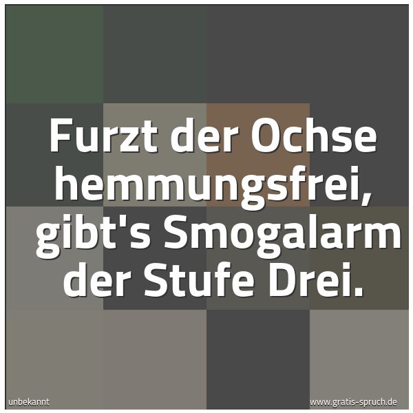 Quadratisches Spruchbild: Furzt der Ochse hemmungsfrei,  gibt's Smogalarm der Stufe Drei.