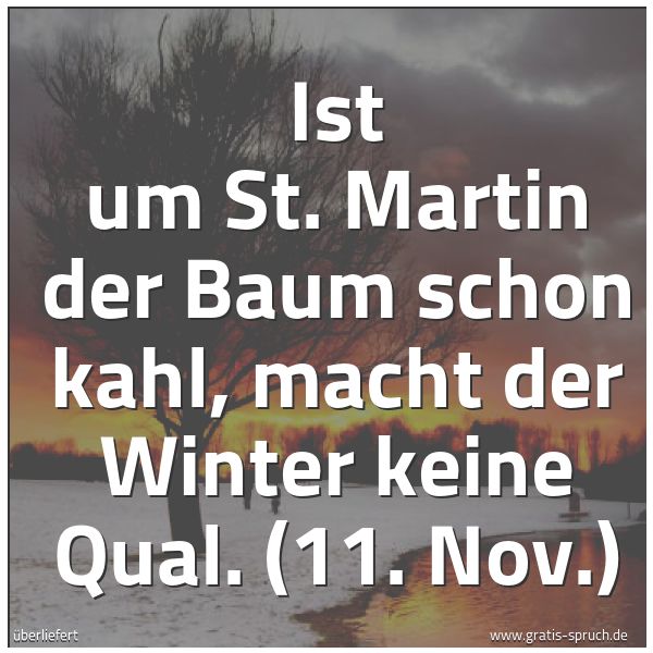 Quadratisches Spruchbild: Ist um St. Martin der Baum schon kahl, macht der Winter keine Qual. (11. Nov.)