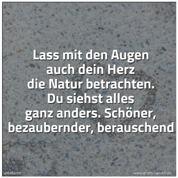 Quadratisches Spruchbild: Lass mit den Augen auch dein Herz die Natur betrachten. Du siehst alles ganz anders. Schön …