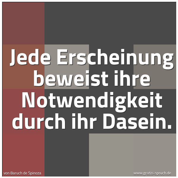 Quadratisches Spruchbild: Jede Erscheinung beweist ihre Notwendigkeit durch ihr Dasein.