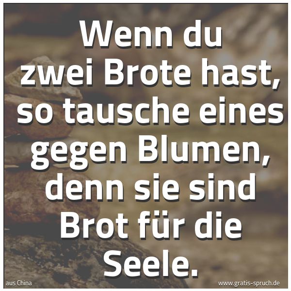 Quadratisches Spruchbild: Wenn du zwei Brote hast, so tausche eines gegen Blumen, denn sie sind Brot für die Seele.