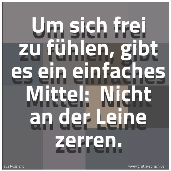 Quadratisches Spruchbild: Um sich frei zu fühlen, gibt es ein einfaches Mittel:  Nicht an der Leine zerren.