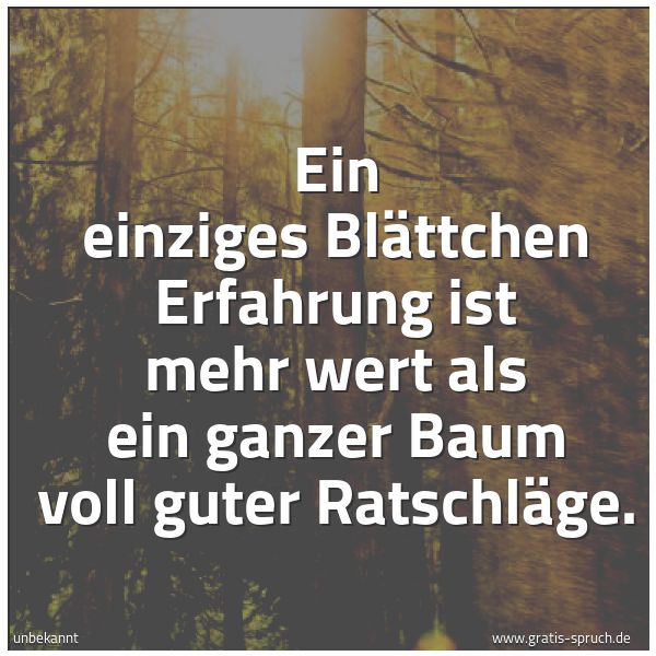Quadratisches Spruchbild: Ein einziges Blättchen Erfahrung ist mehr wert als ein ganzer Baum voll guter Ratschläge.